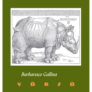 The Elegance of Barbaresco – Piedmont’s Hidden Gem